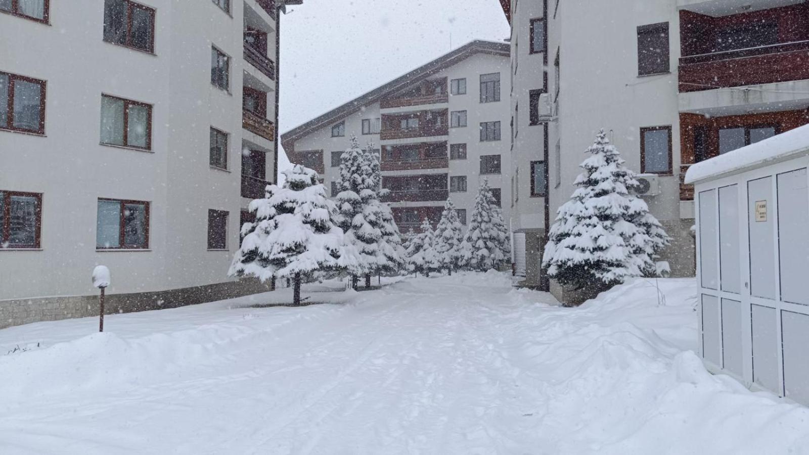 Studio Detelina Residence Bansko Luaran gambar