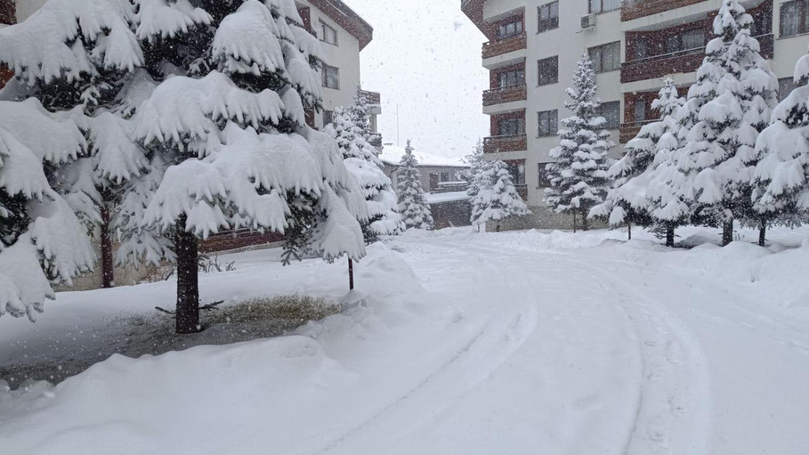 Studio Detelina Residence Bansko Luaran gambar