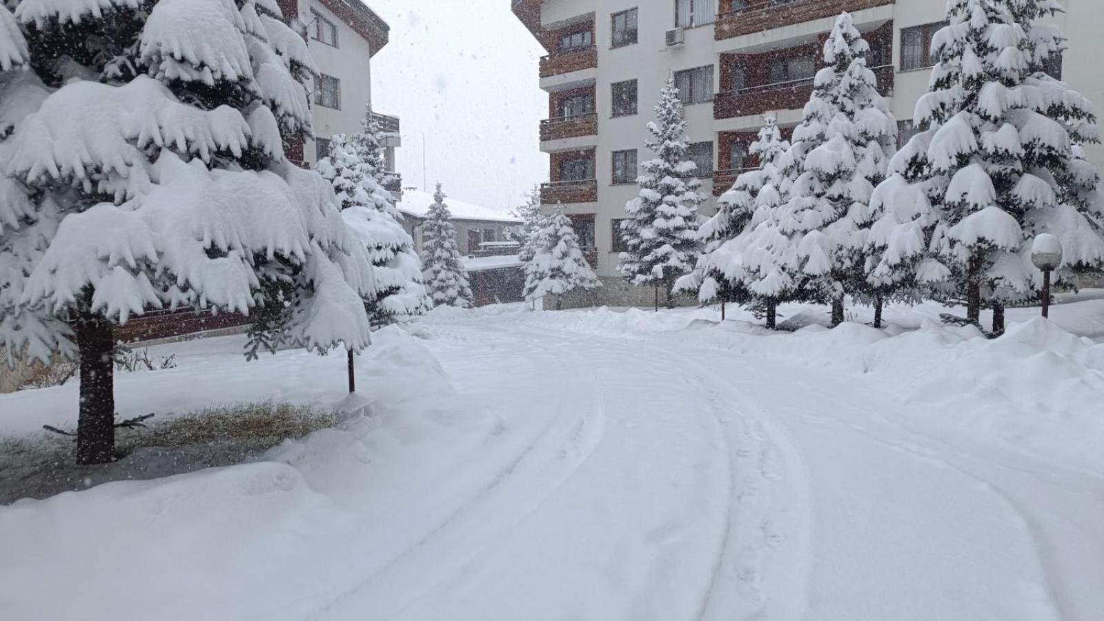 Studio Detelina Residence Bansko Luaran gambar