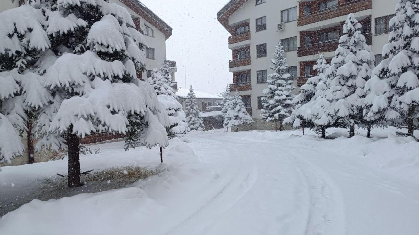 Studio Detelina Residence Bansko Luaran gambar